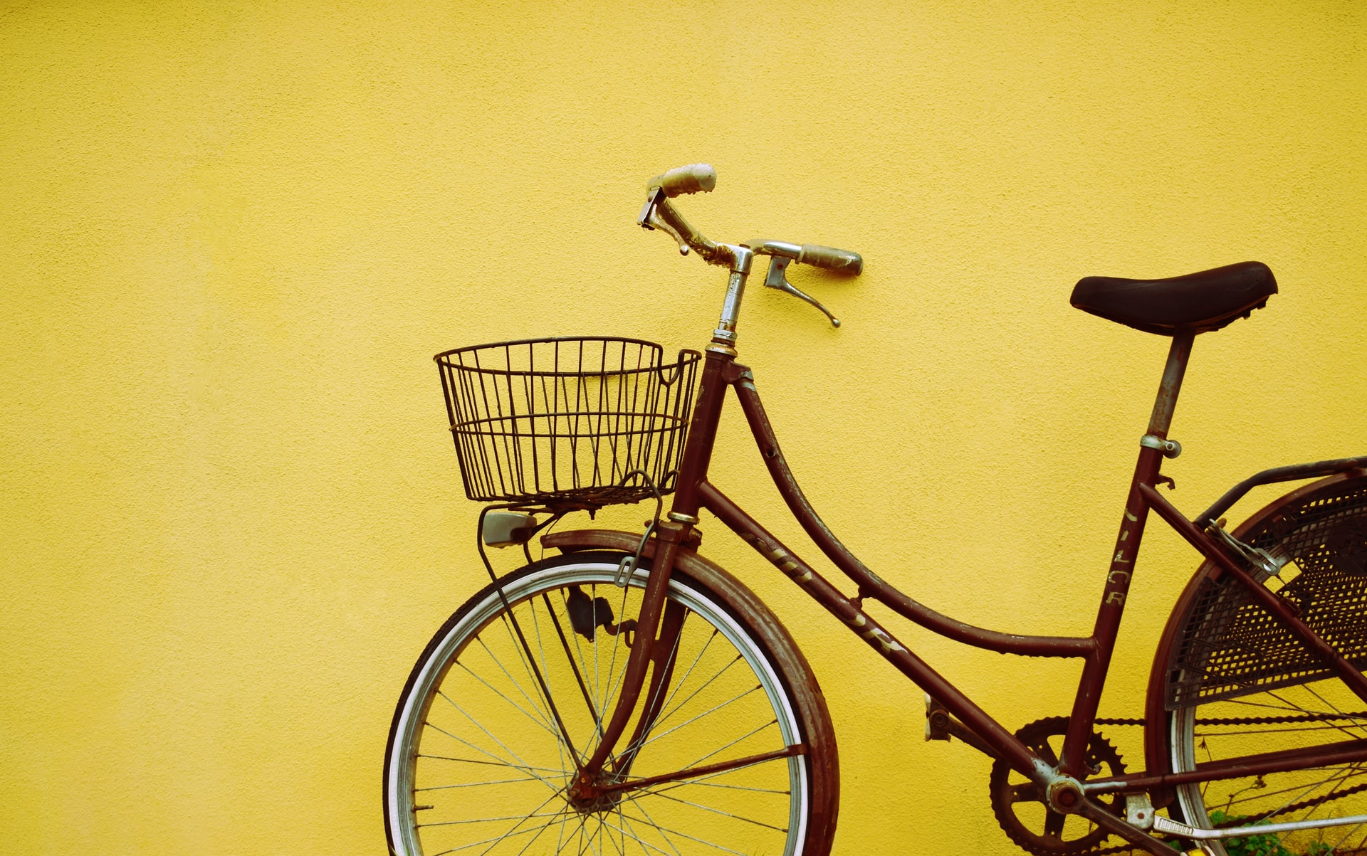 peddling-a-line-salix-co